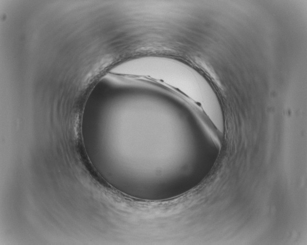 X0000088600023200706151812