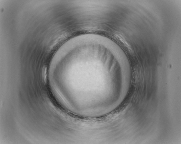 X0000088600024200706151812