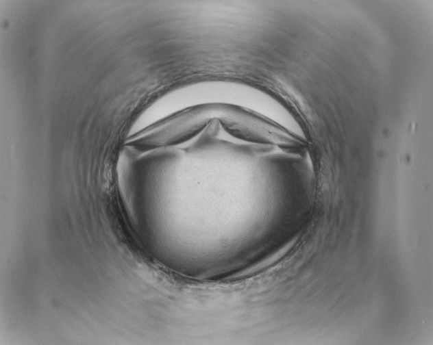 X0000088600025200706151812