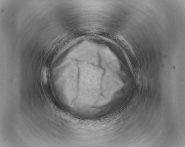 X0000088600026200706151812