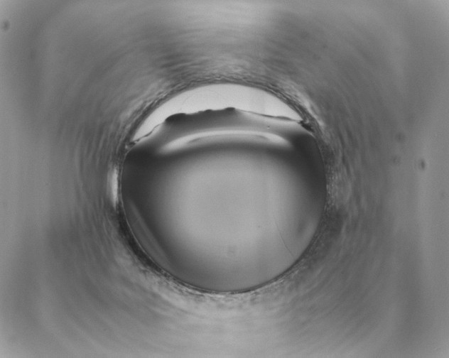 X0000088600027200706151812