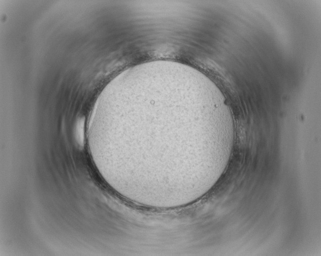 X0000088600028200706151812