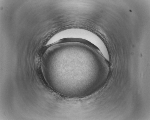 X0000088600029200706151812