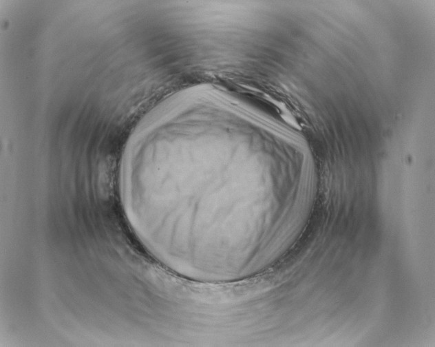 X0000088600030200706151812