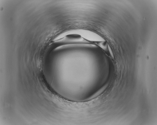 X0000088600031200706151812