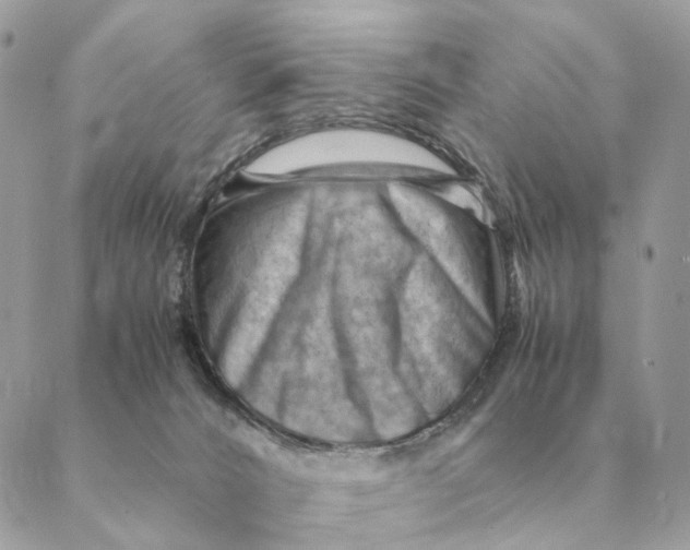 X0000088600032200706151812