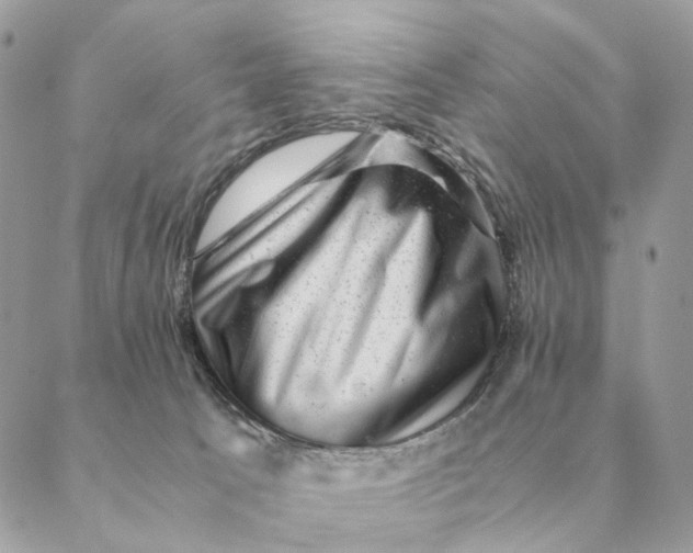 X0000088600033200706151812