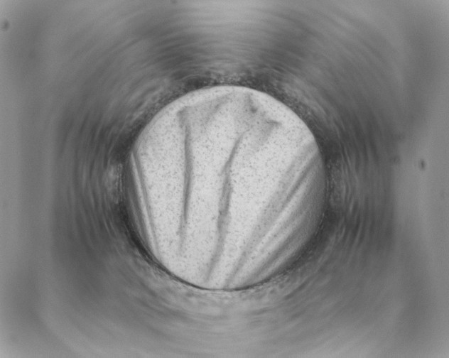 X0000088600034200706151812