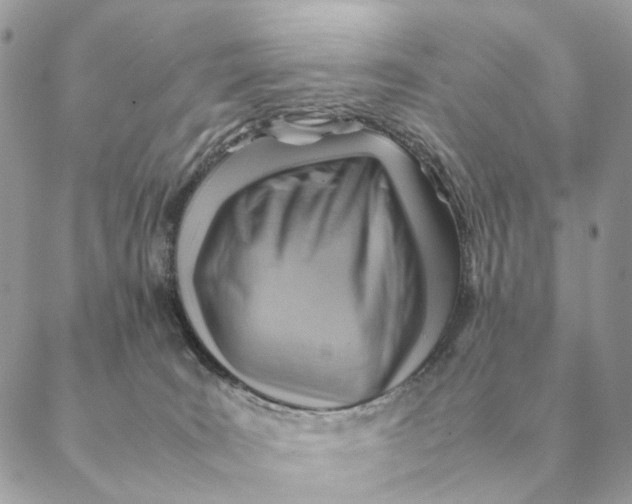 X0000088600035200706151812