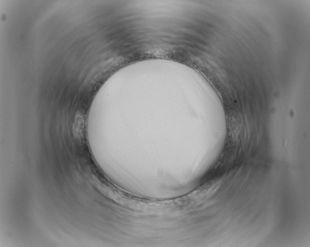 X0000088600036200706151812