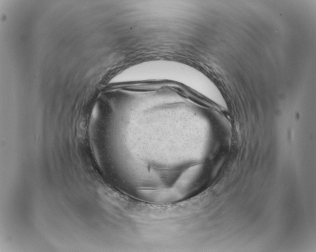 X0000088600037200706151812