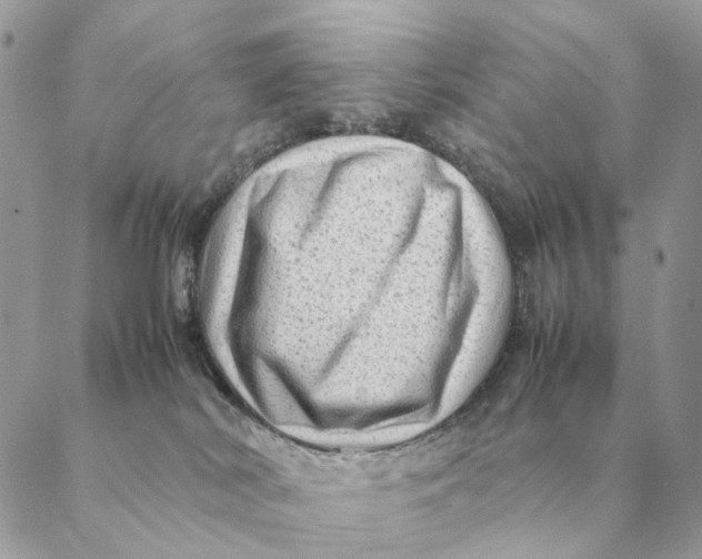 X0000088600038200706151812