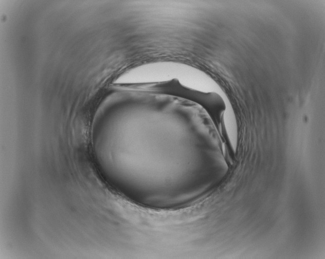 X0000088600039200706151812