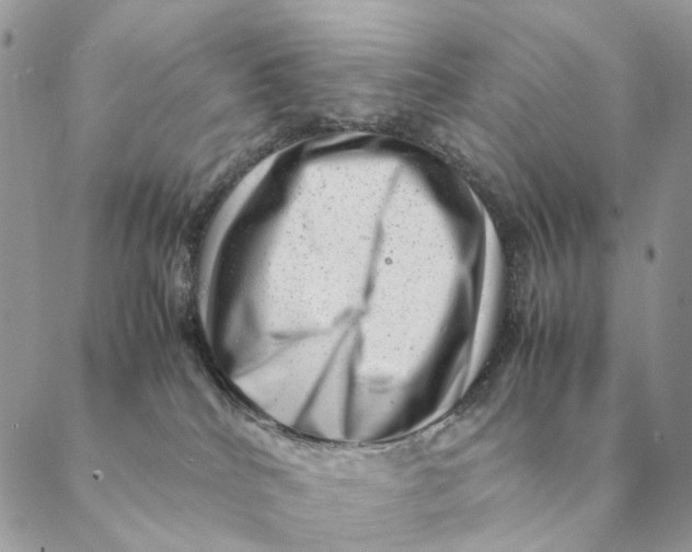 X0000088600040200706151812