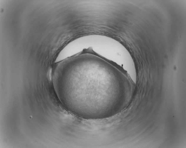 X0000088600041200706151812