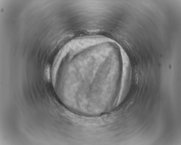 X0000088600042200706151812