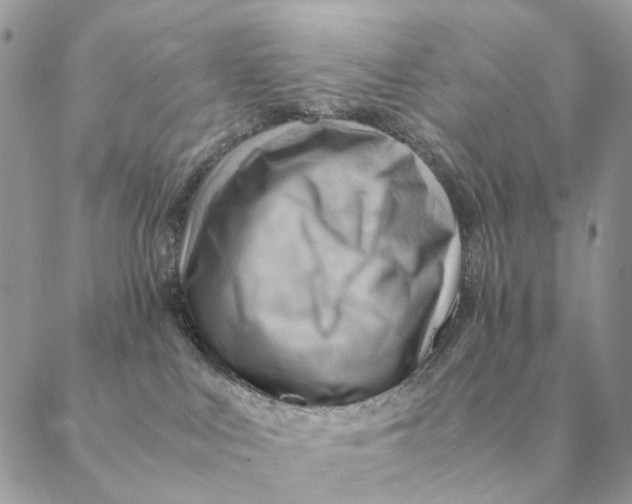 X0000088600043200706151812