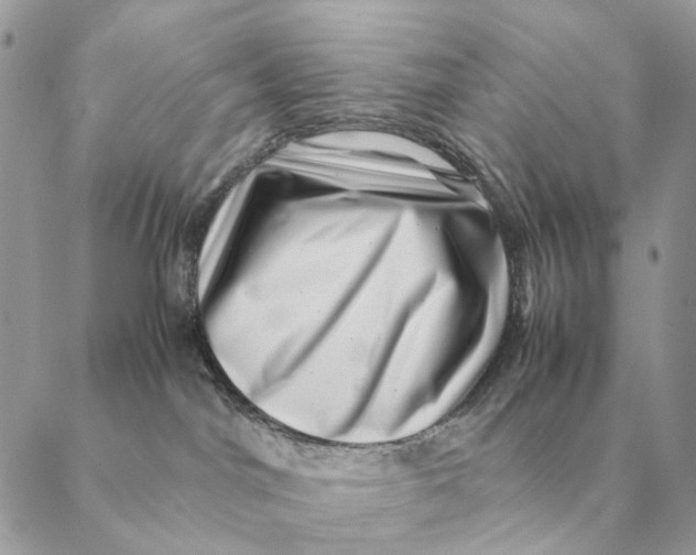 X0000088600044200706151812