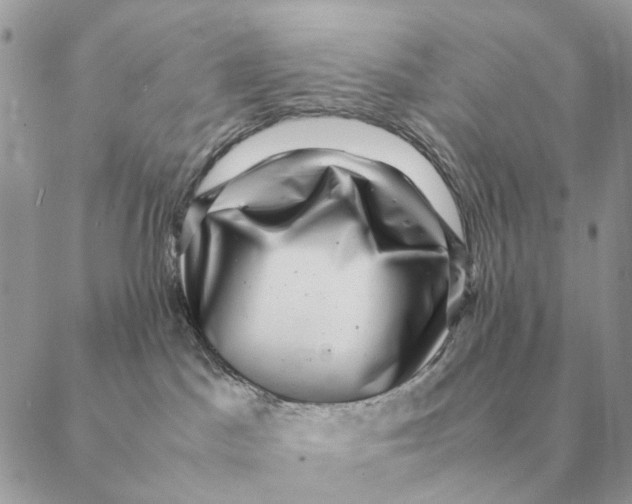 X0000088600045200706151812