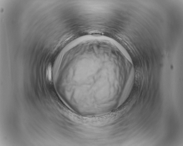 X0000088600046200706151812