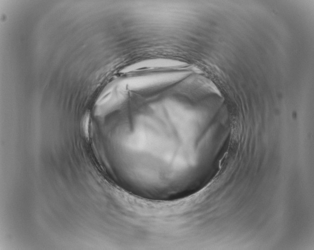 X0000088600047200706151812