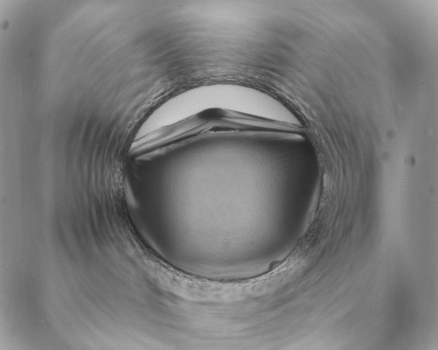 X0000088600048200706151812