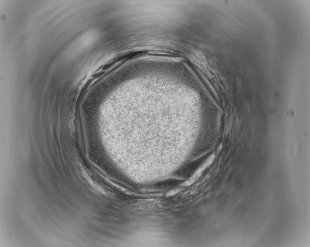 X0000088600050200706151811