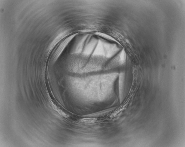 X0000088600051200706151811