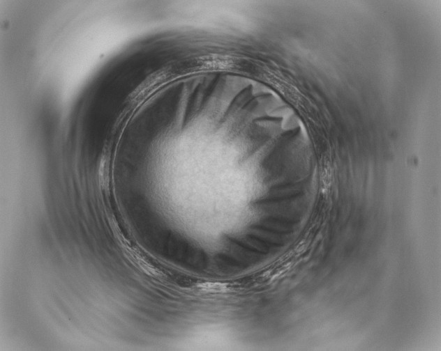 X0000088600052200706151811