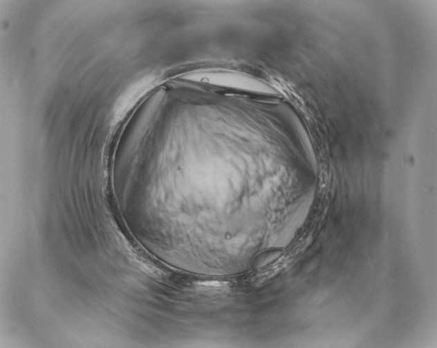 X0000088600053200706151811