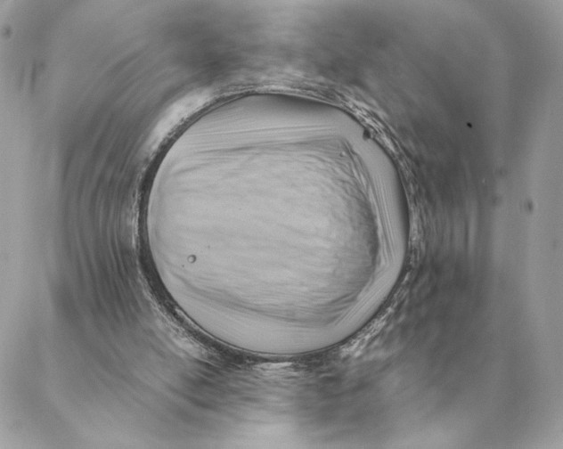 X0000088600054200706151811