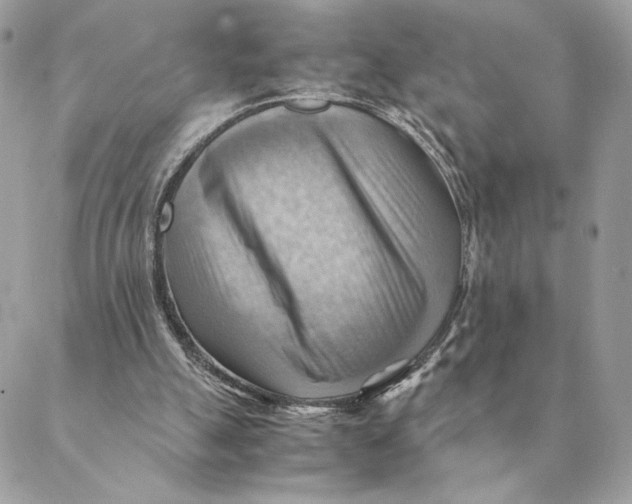 X0000088600055200706151811