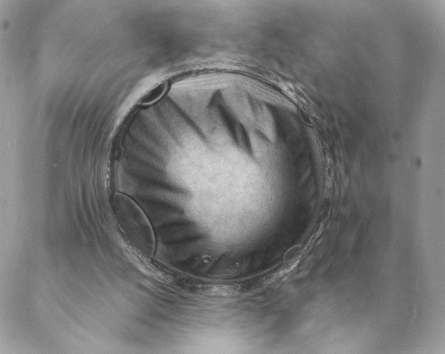 X0000088600056200706151811