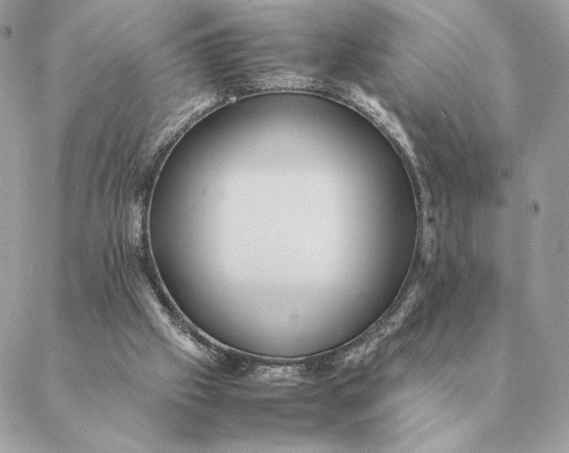 X0000088600057200706151811