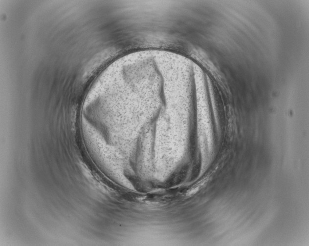 X0000088600058200706151811