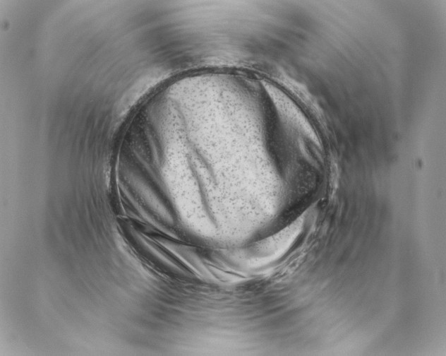 X0000088600060200706151811