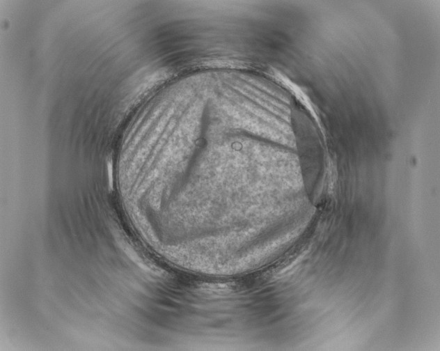 X0000088600061200706151811