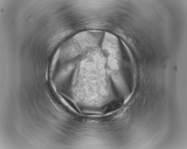 X0000088600062200706151811