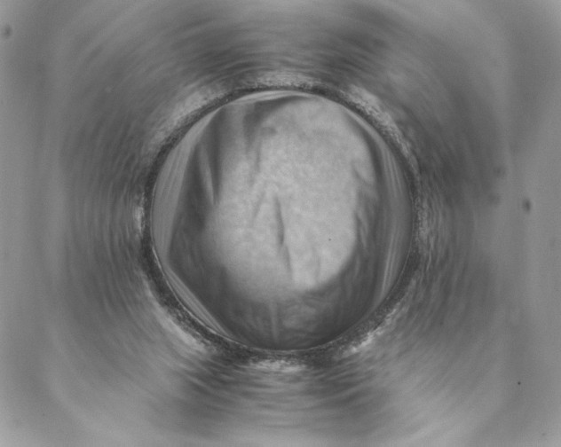 X0000088600063200706151811