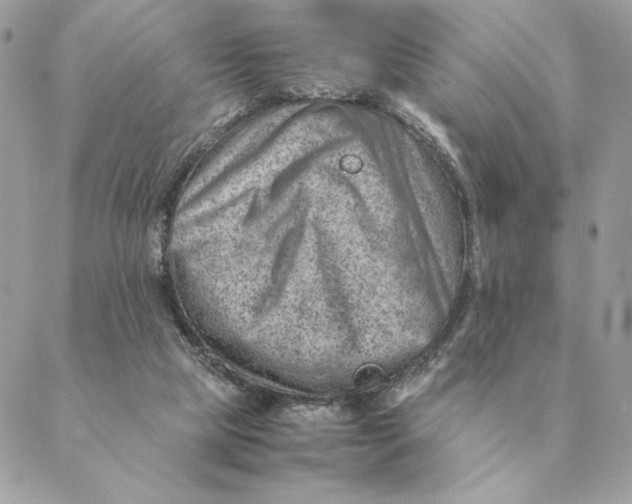 X0000088600065200706151812