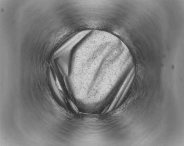 X0000088600066200706151812