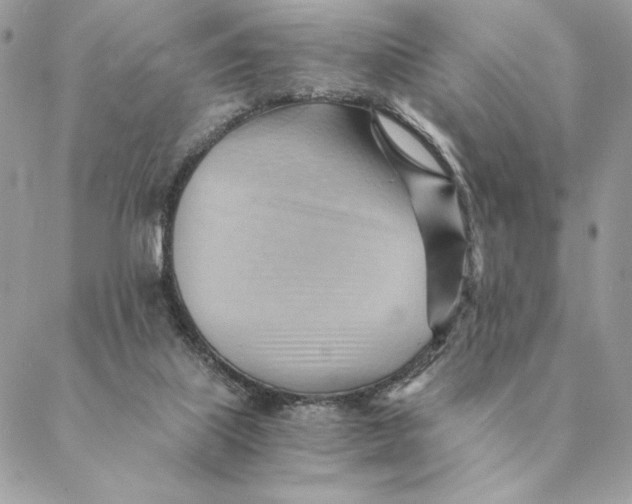 X0000088600067200706151812