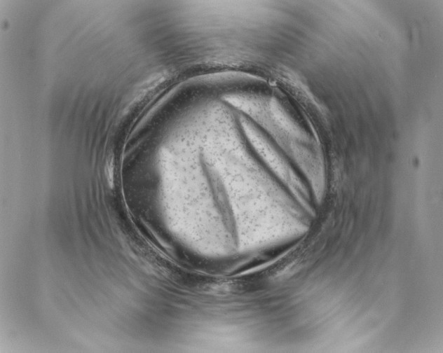 X0000088600068200706151812