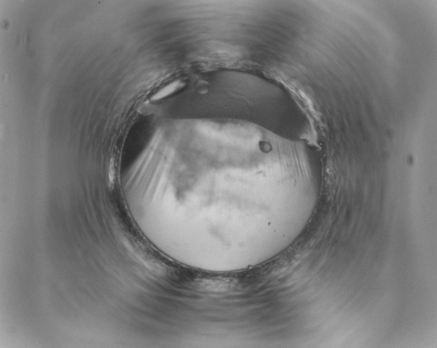 X0000088600069200706151812