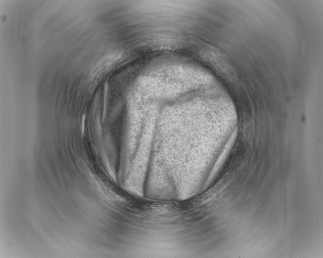 X0000088600070200706151812