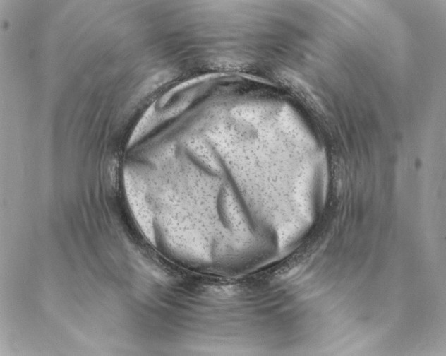 X0000088600071200706151812