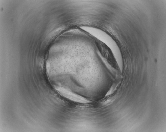 X0000088600072200706151812