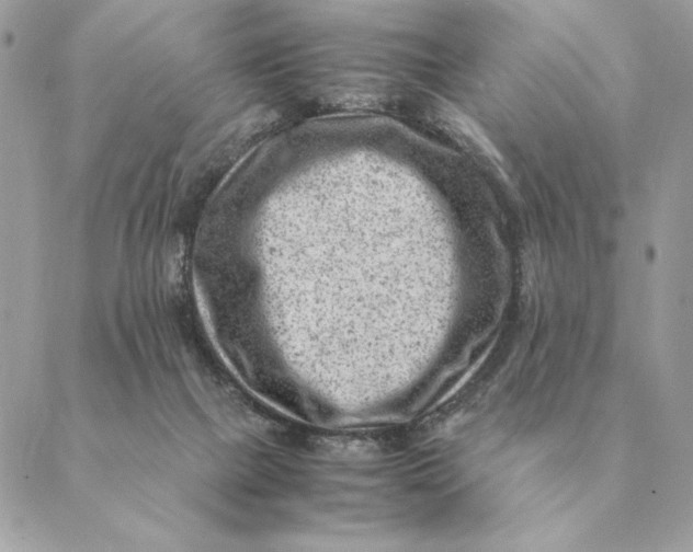 X0000088600073200706151812