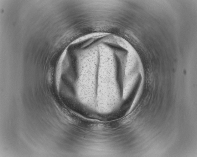 X0000088600074200706151812