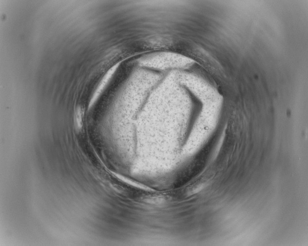 X0000088600075200706151812